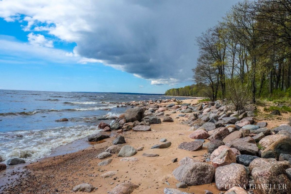 Отдых на Финском заливе: лучшие пляжи Ленинградской области