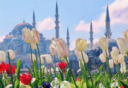 Пять неоспоримых аргументов, почему весна - лучшее время для отдыха в Турции