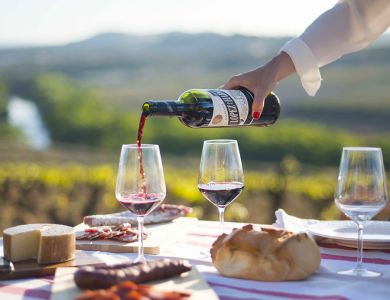 Путеводитель по винам Испании. История, основные сорта, классификация вин.