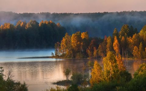 Вепсский лес: место, где живет сказка