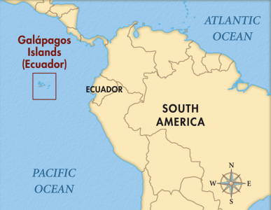 Галапагосские Острова: поездка в нереальную реальность