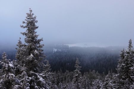 Ruka, лучшее место в Финляндии для зимних видов спорта