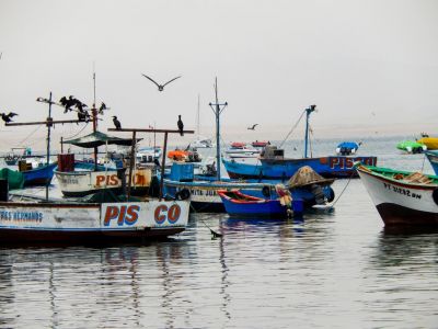 Экскурсия по Паракасу, едем на острова Бальестас на лодке