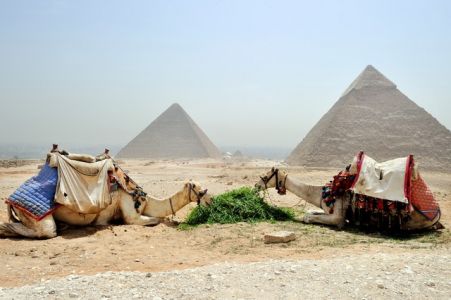 Путешествие в Каир: город красок и хаоса